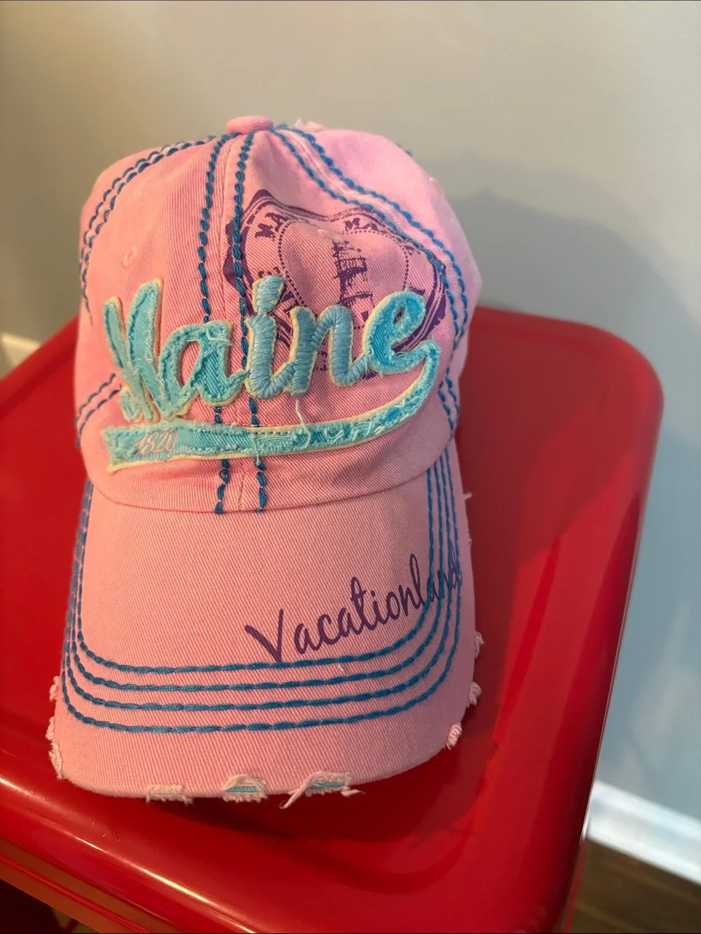 Robin Ruth Pink Cap with Teal Embroidery